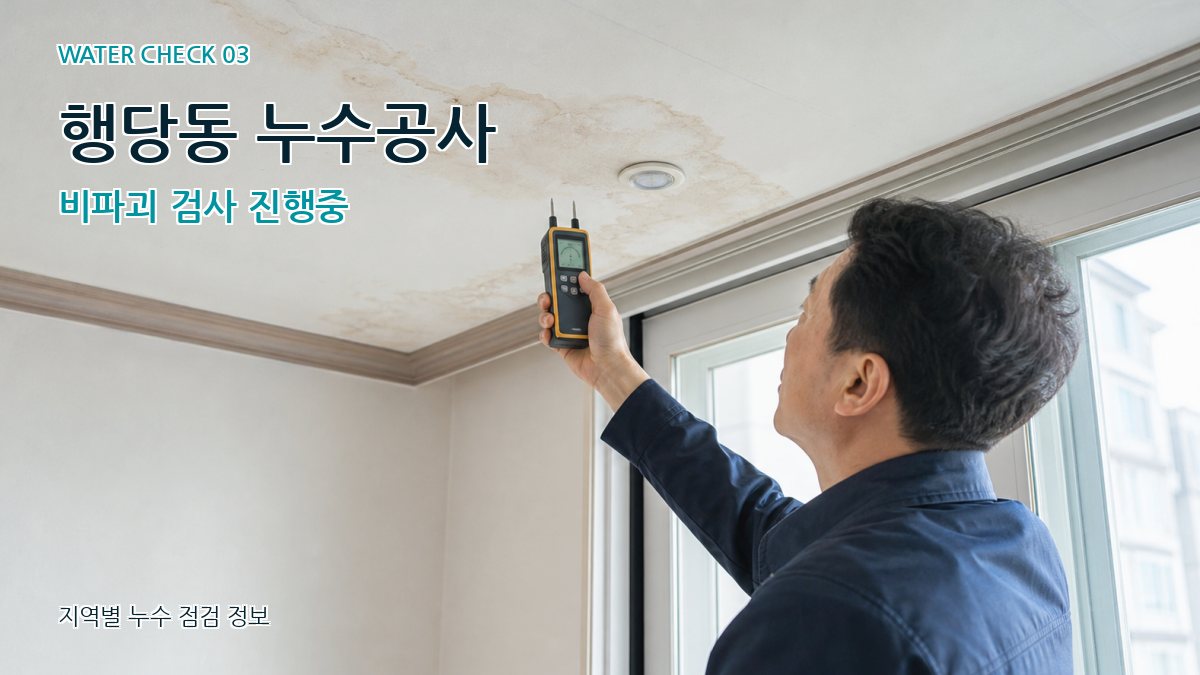 행당동 누수공사 비파괴 검사 진행중